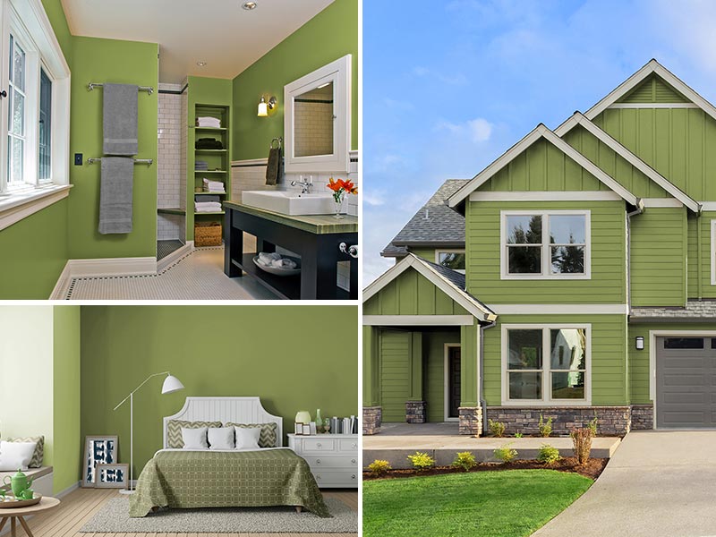 Peridot color collage painted home, bathroom and exterior