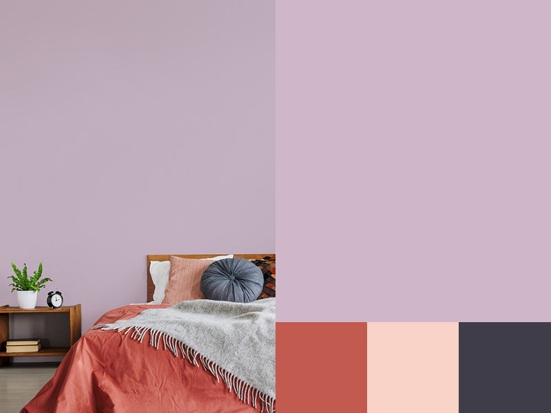 Bedroom painted Amethyst with accent color swatch