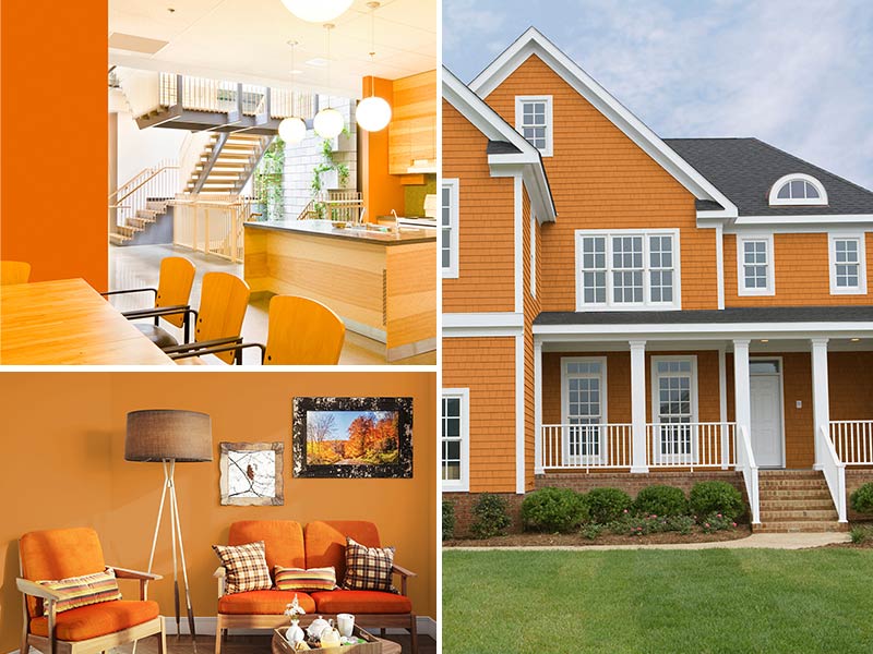 Amber accented kitchen, Amber painted living room, and Amber home exterior