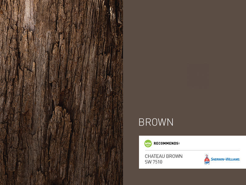 Chateau Brown SW 7510 - Neutral Paint Color - Sherwin-Williams