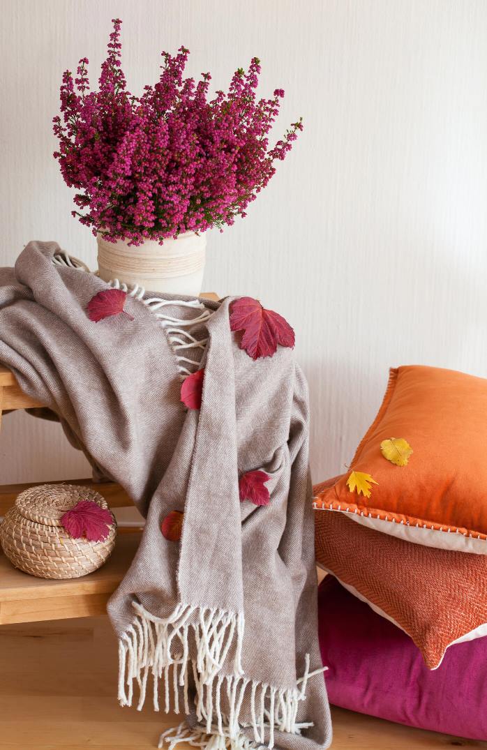 Autumn Flowers and Cushions for Your Home