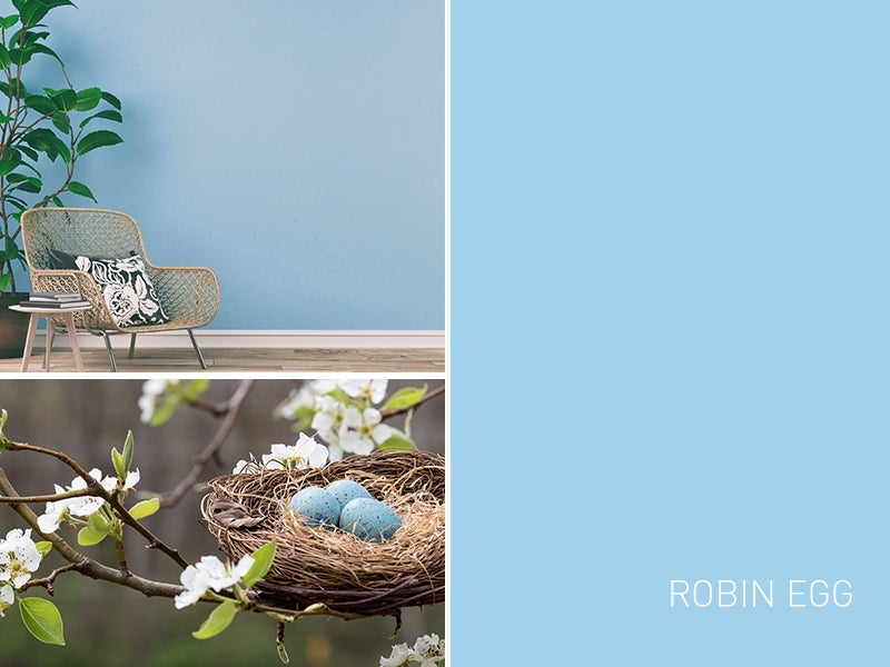 MARCH 2020 - ROBIN EGG