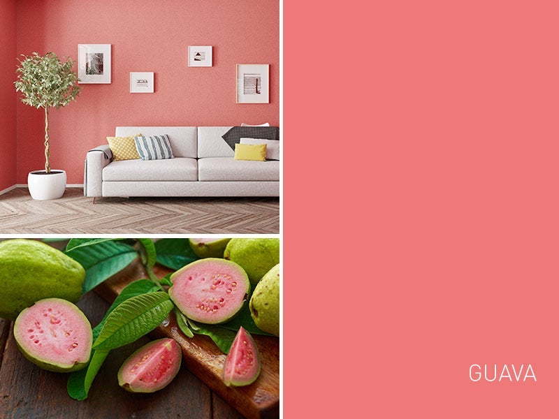 MAY 2019 GUAVA WOW 1 DAY PAINTING may-2019-guava-wow-1-day-painting