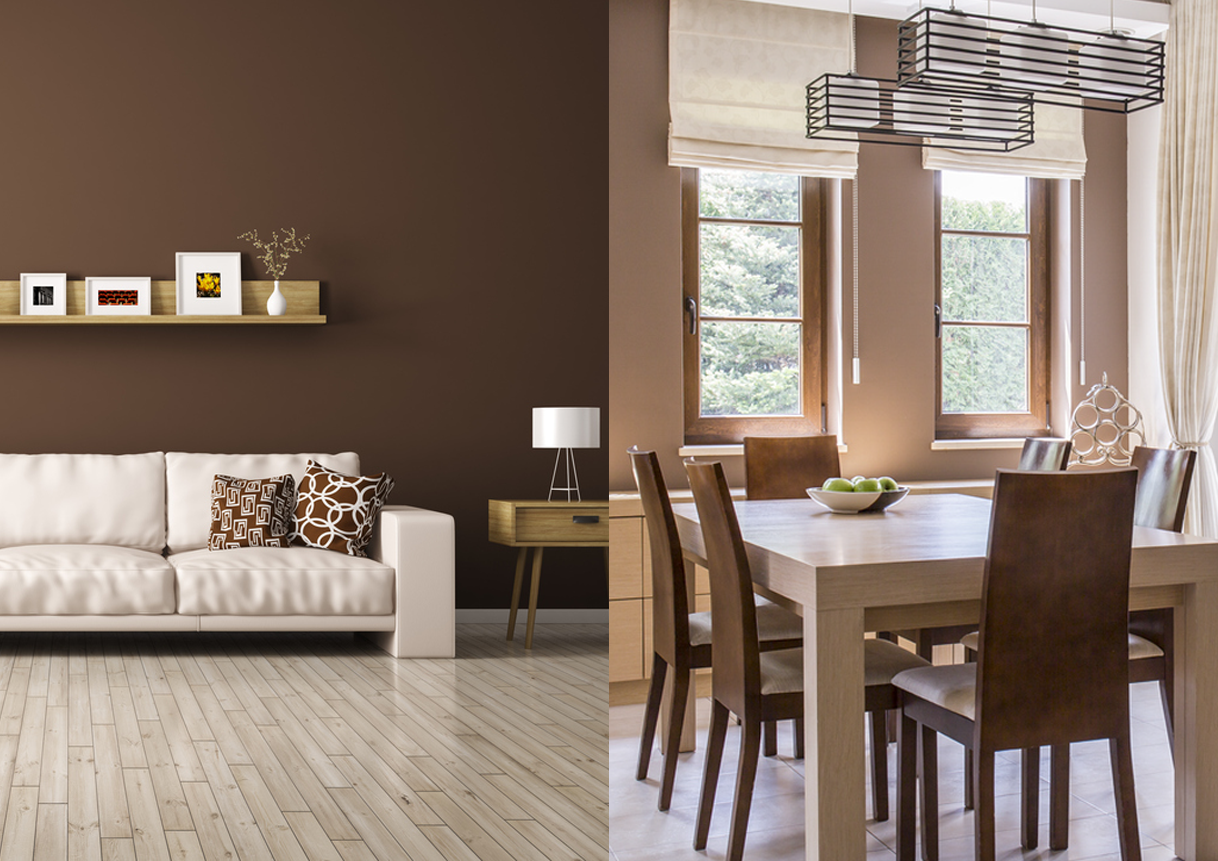 Brown House Paint Inspiration