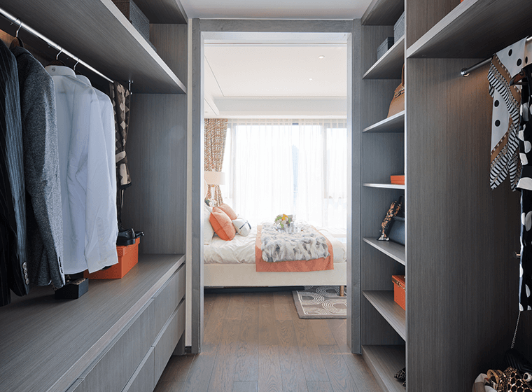 Tidy Walk-in Closet
