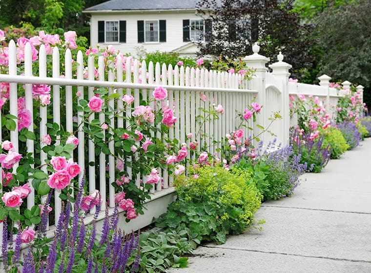 White fence and flowers