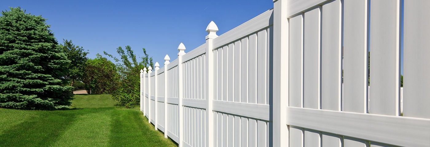 Fence Painting