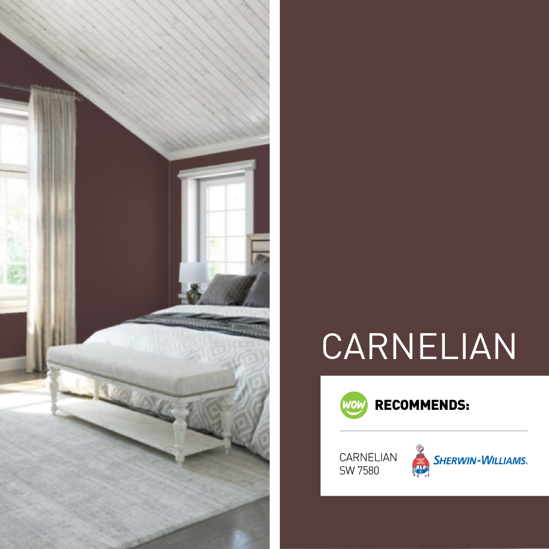 Unveiling Carnelian: The Colour of the Month